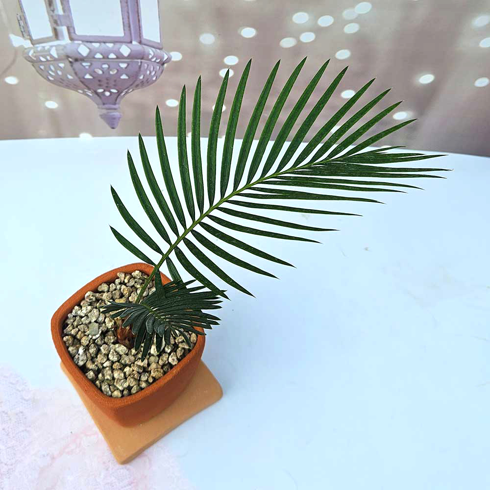 ��ǰ ������